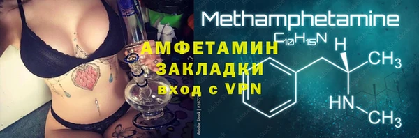 прущие грибы Костерёво