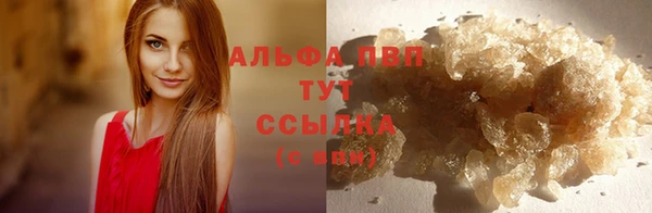 дмт Алексин