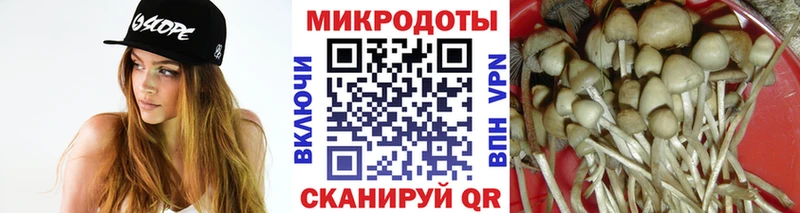 купить закладку  Белгород  Псилоцибиновые грибы мухоморы 
